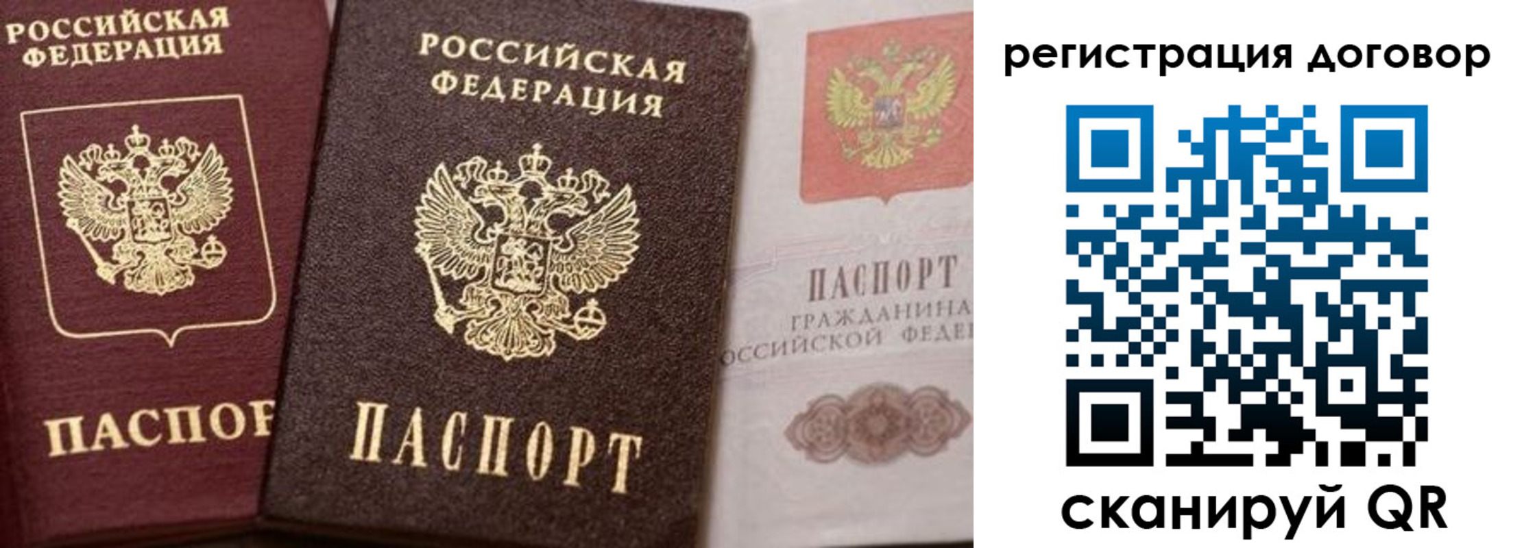 прописка 2025 в Липецке